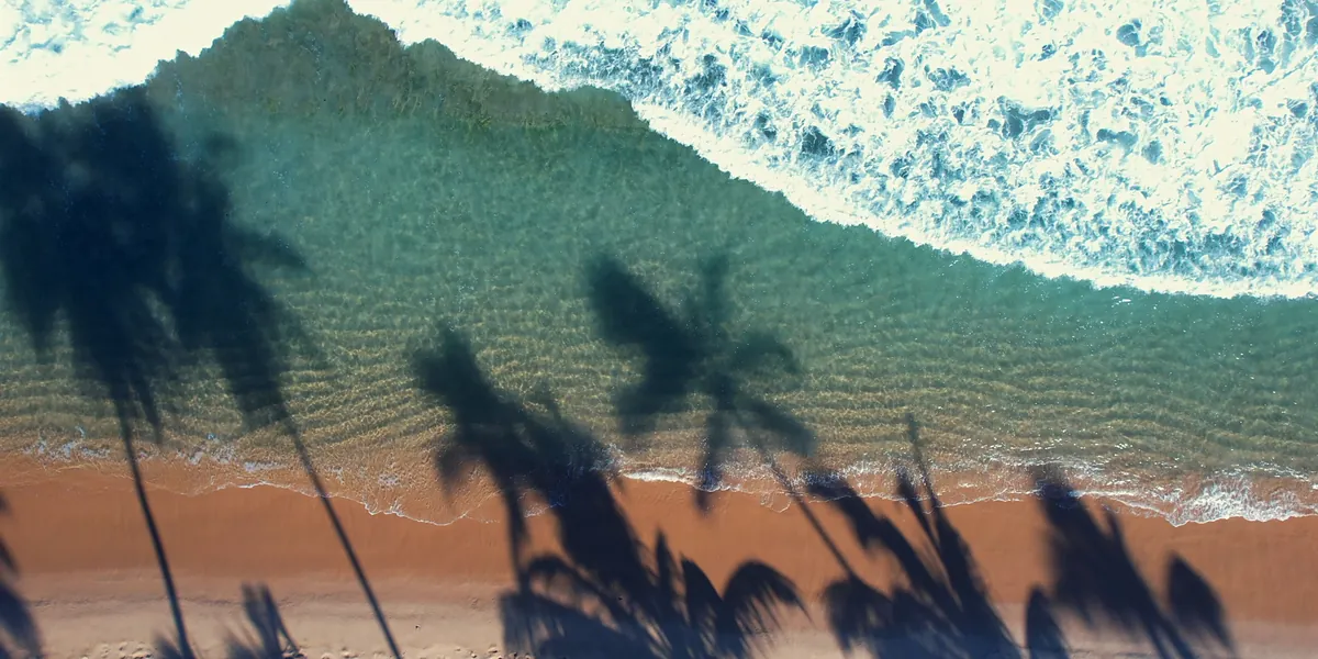 Vista superior da praia de Muro Alto: faixa de areia, sombra de coqueiros e a arrebenta\u00e7\u00e3o sobre o recife.